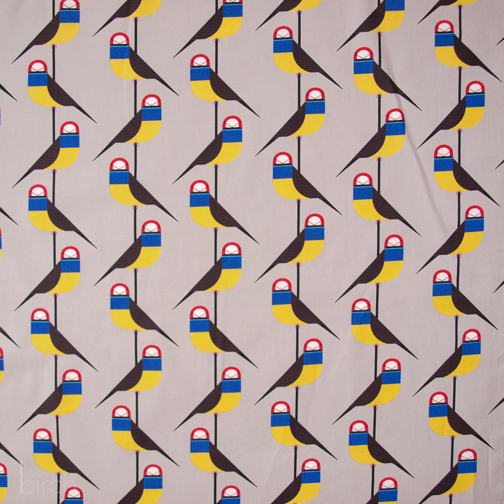 Gouldian Finch Poplin