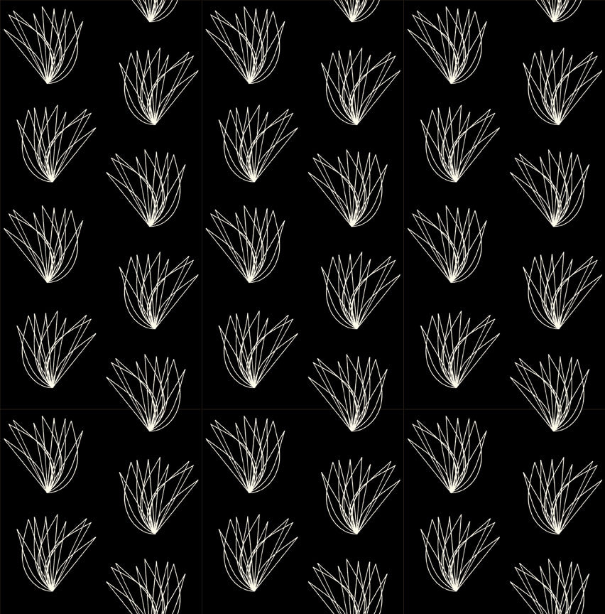 WINGS in BLACK