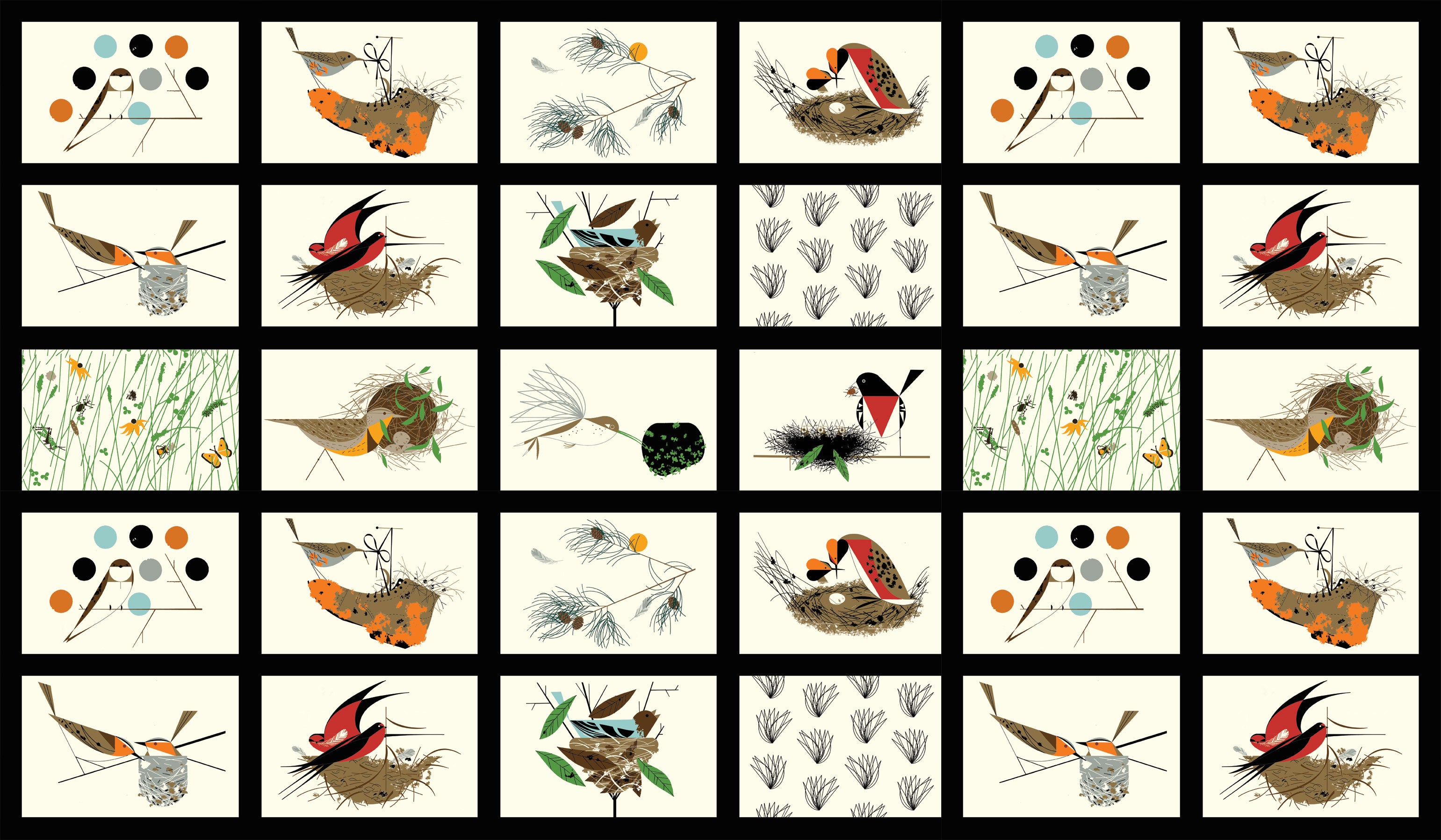 BIRD ARCHITECTS PATCH