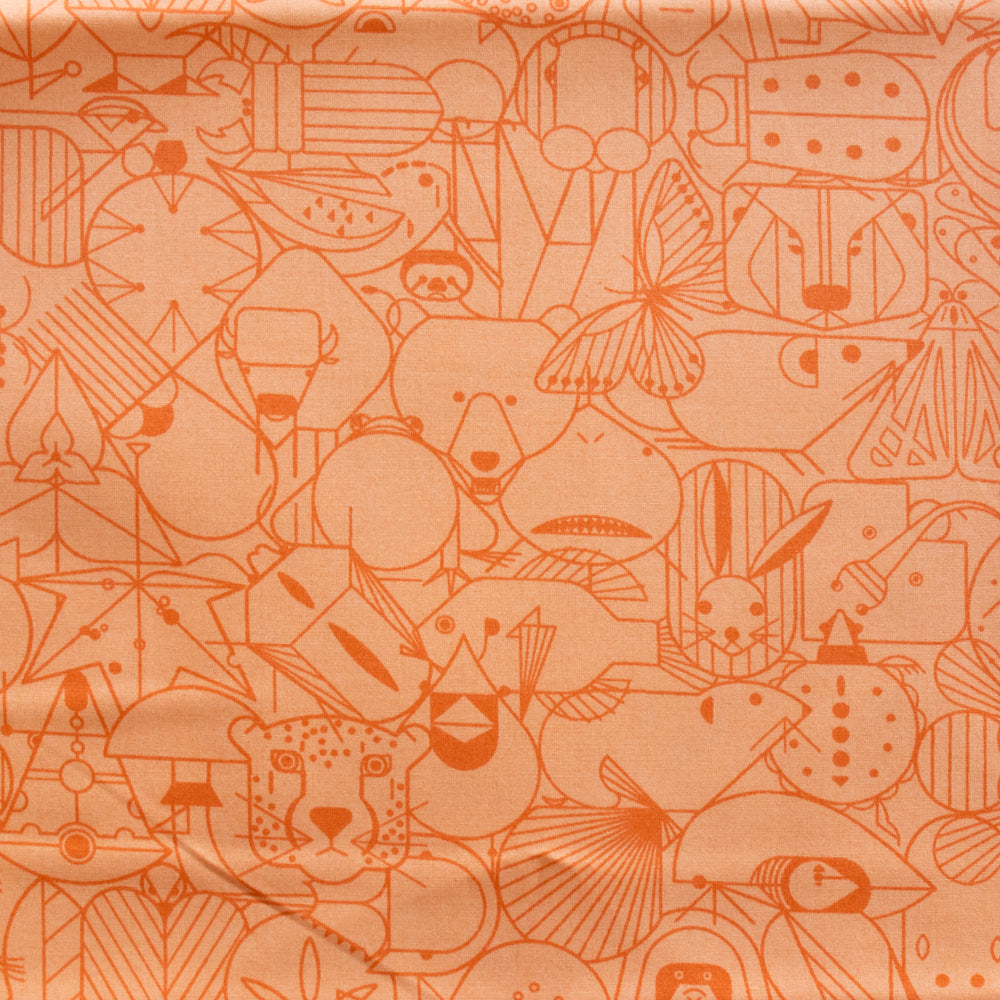 End Papers Pumpkin Poplin