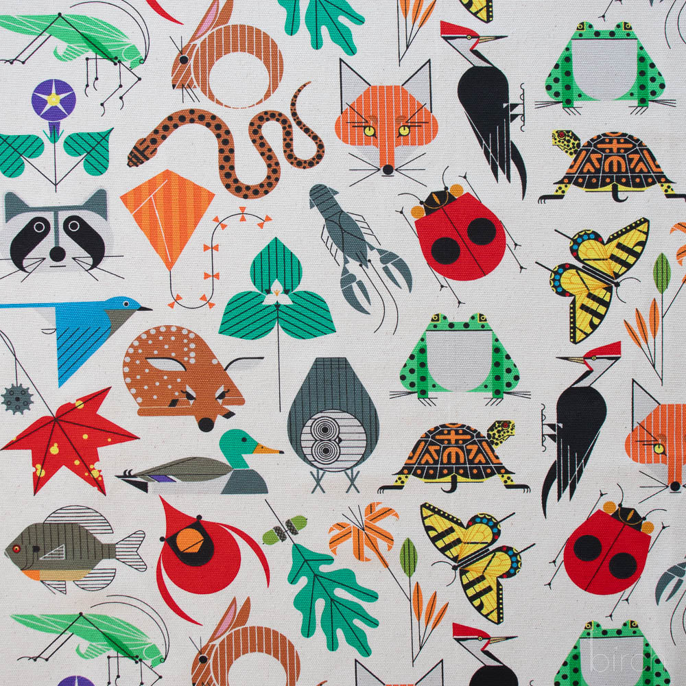Space For All Species Canvas