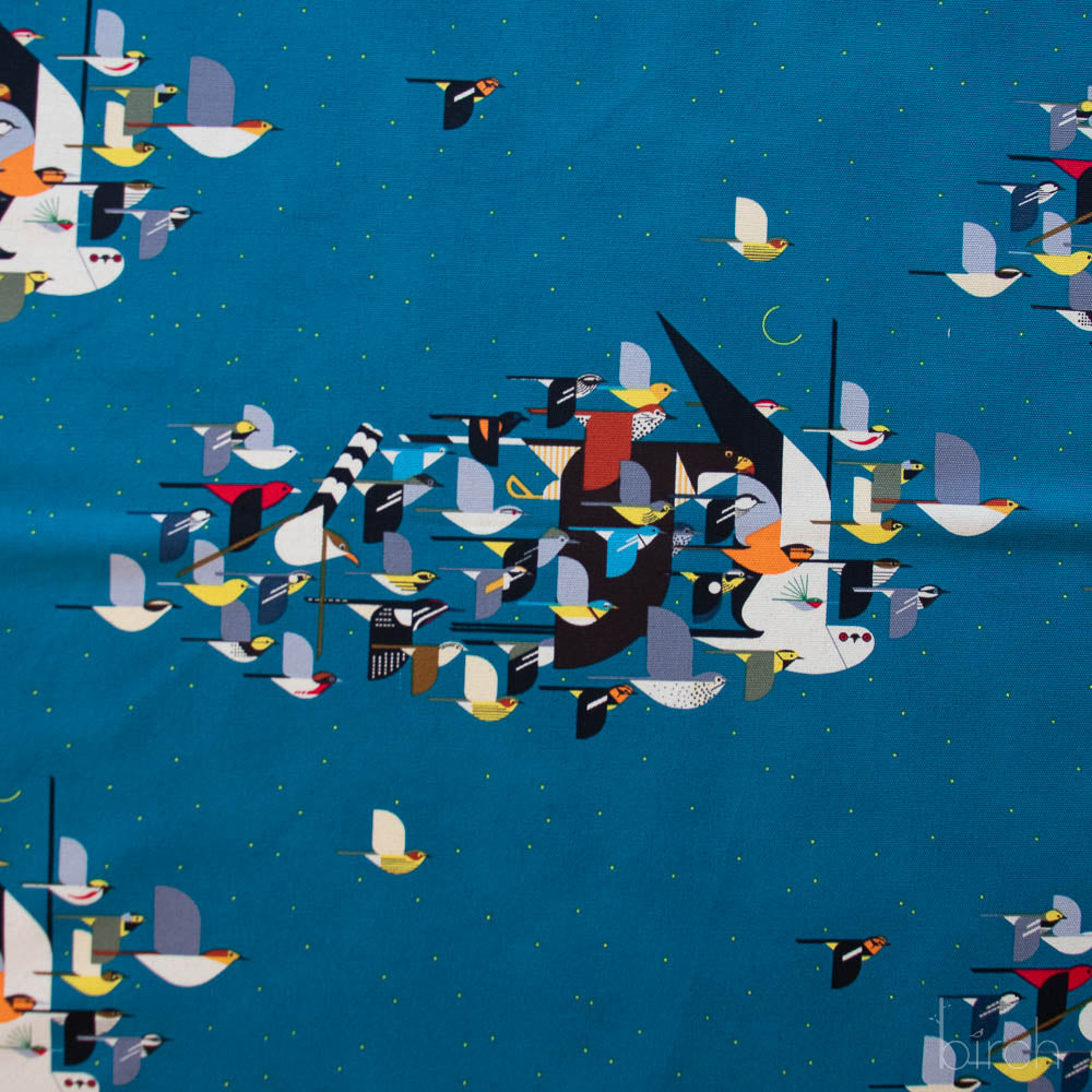 Missing Migrants Canvas