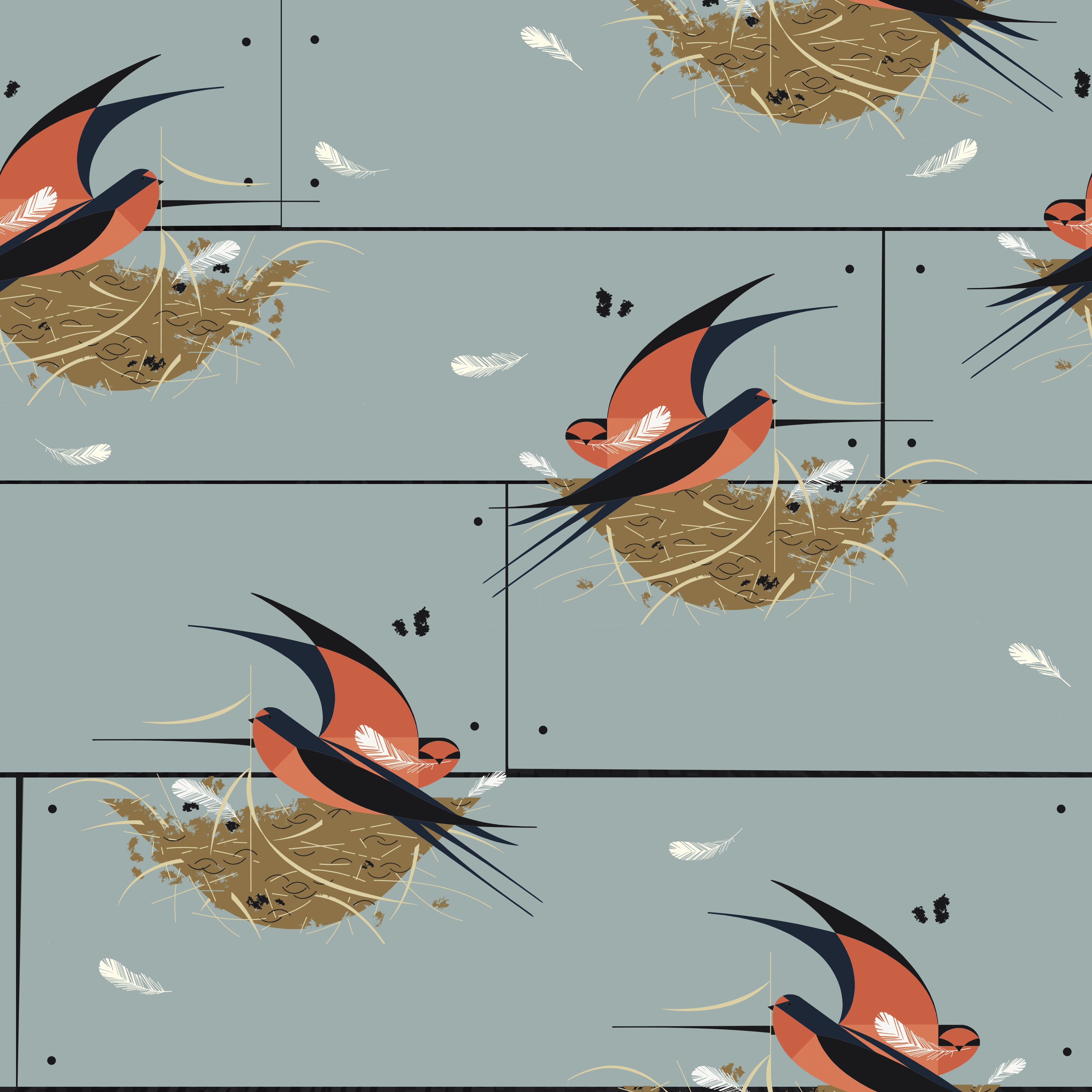 Barn Swallow