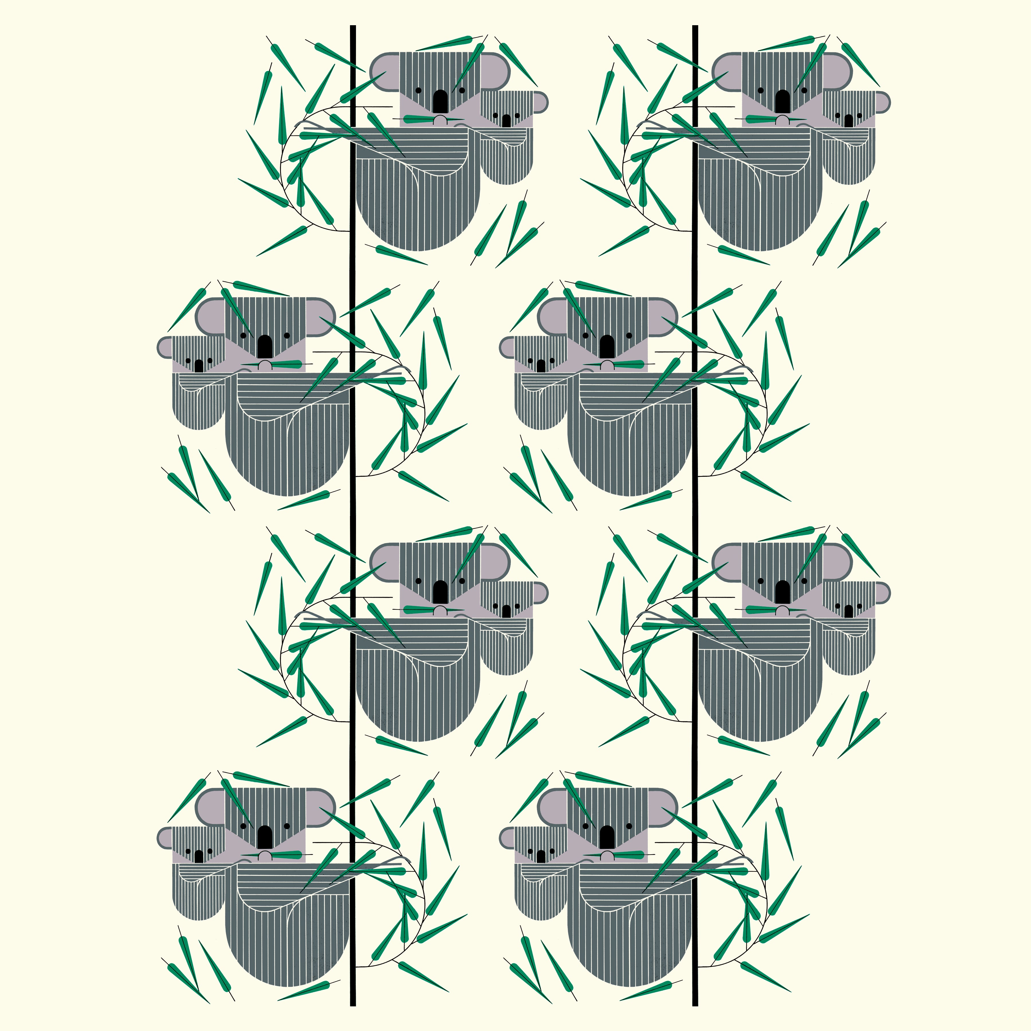 Koala Koala