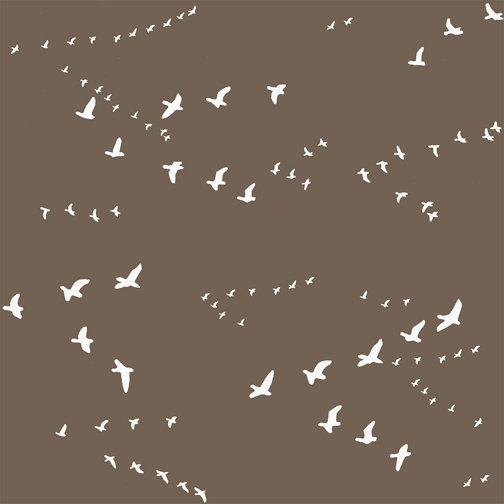 FLIGHT BROWN