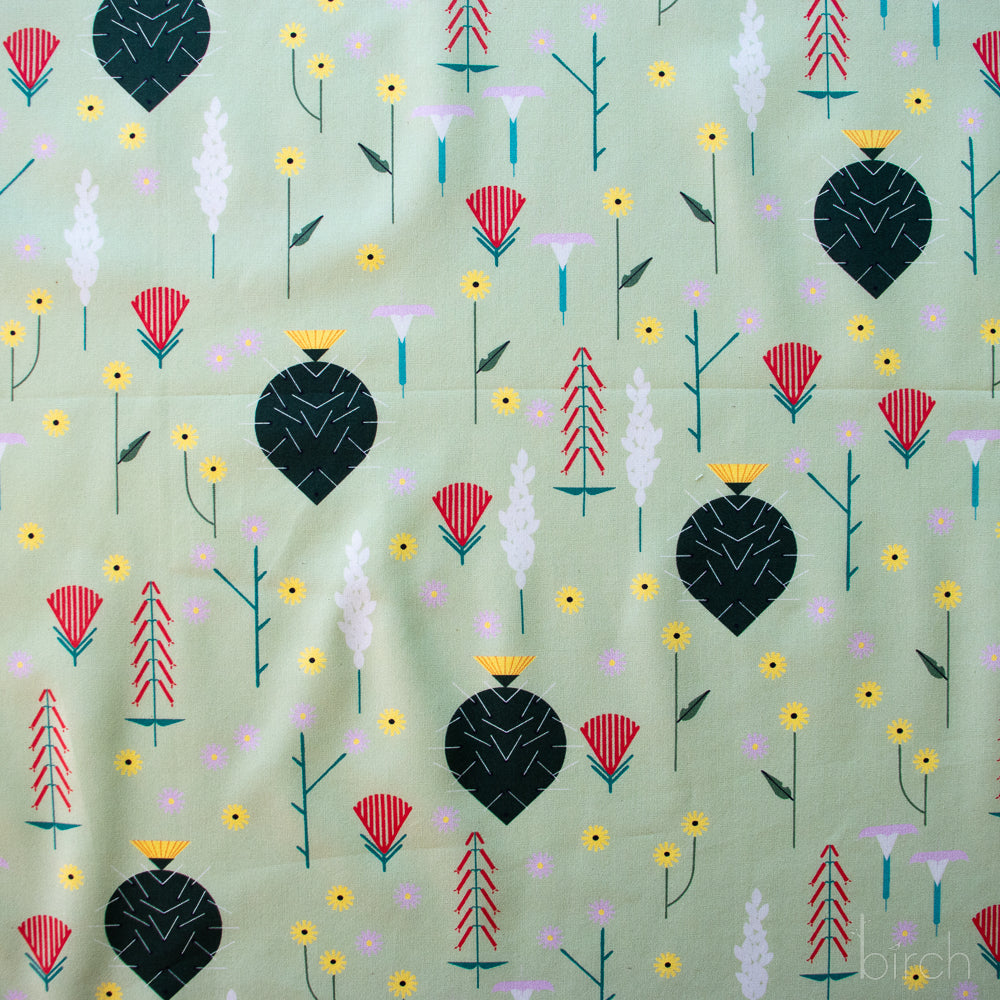 Canyon Flower Field