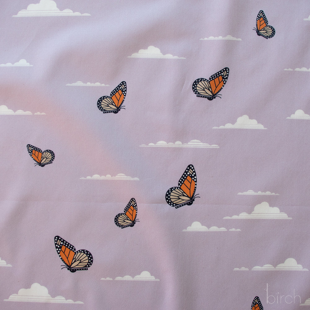 Canyon Butterflies
