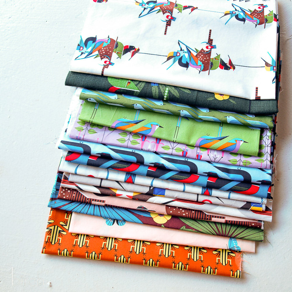 Discovery Place Fat Quarter Bundle, 14 Total