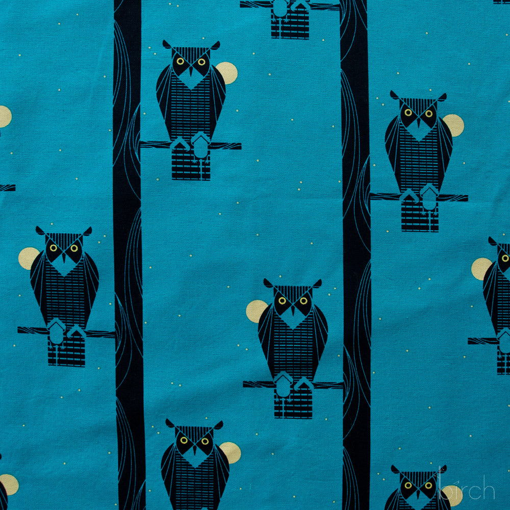 Moon Owl Canvas
