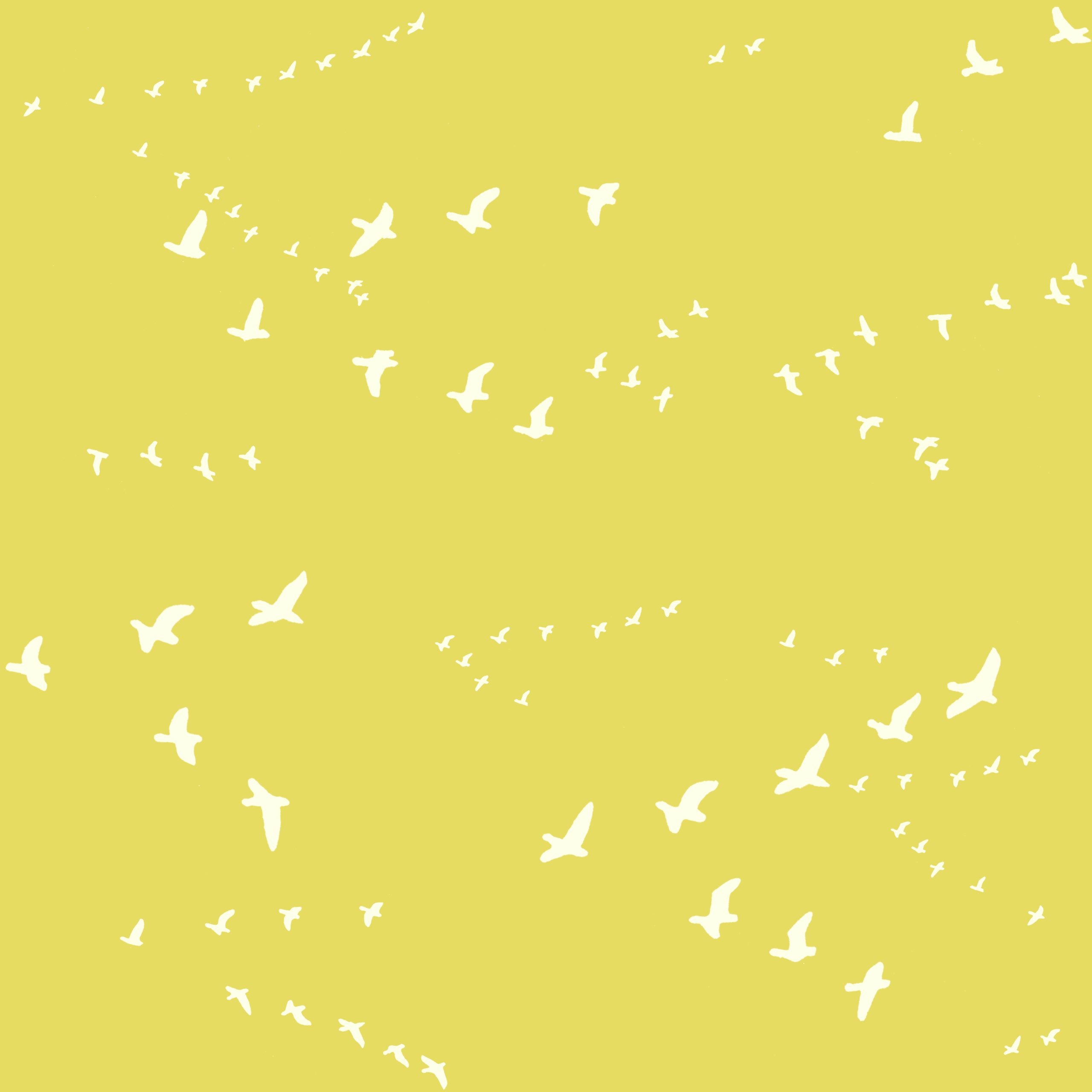 Flight Sun Double Gauze