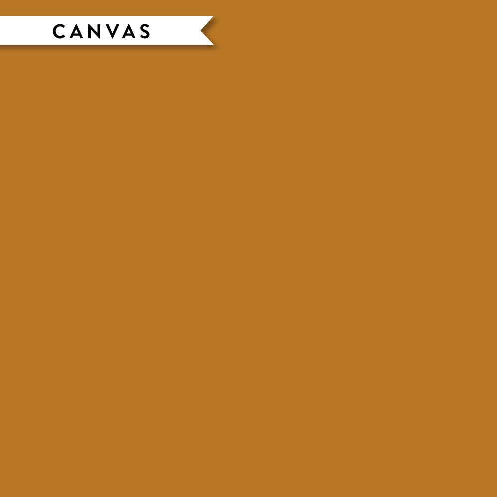 Cumin Solid Canvas