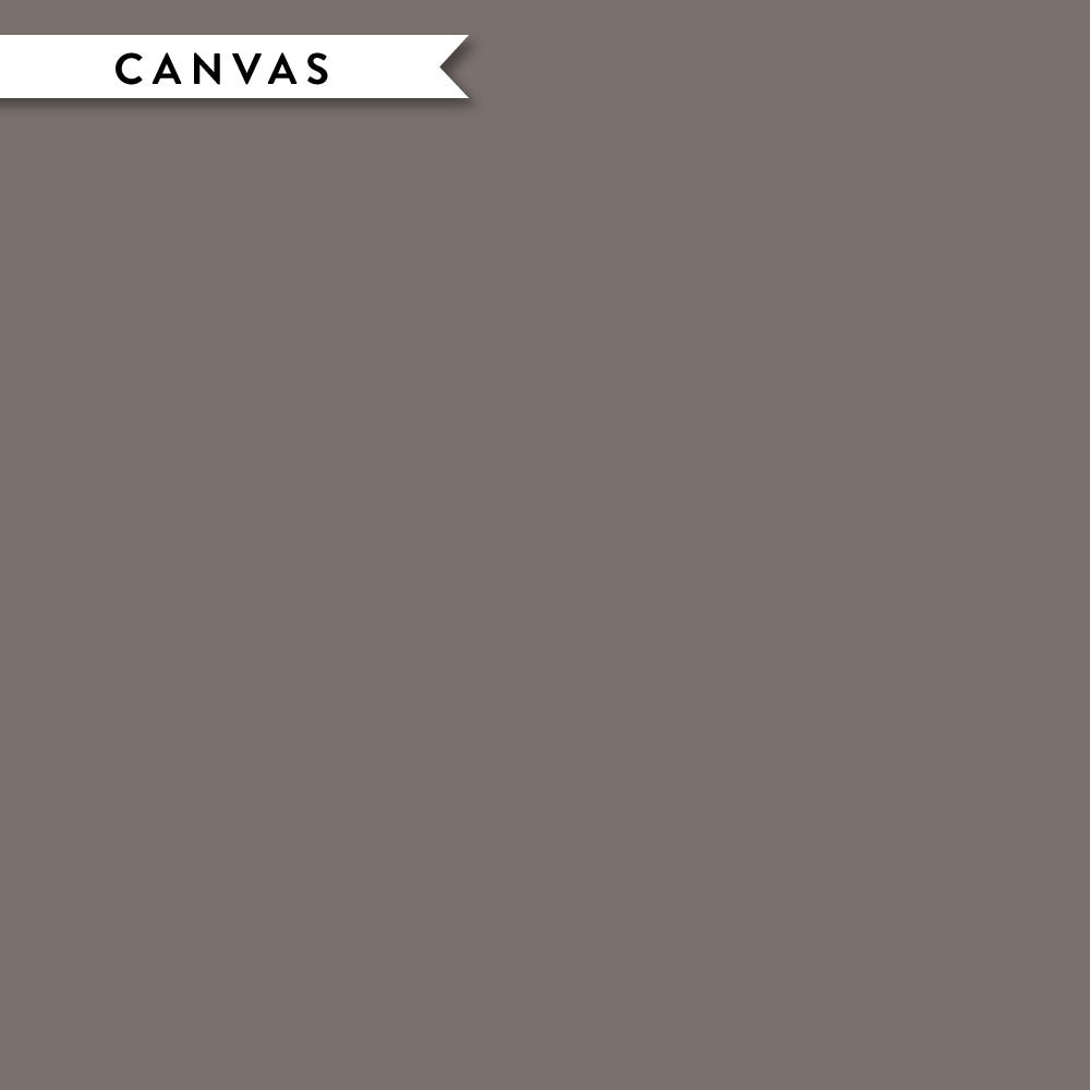 Titanium Solid Canvas