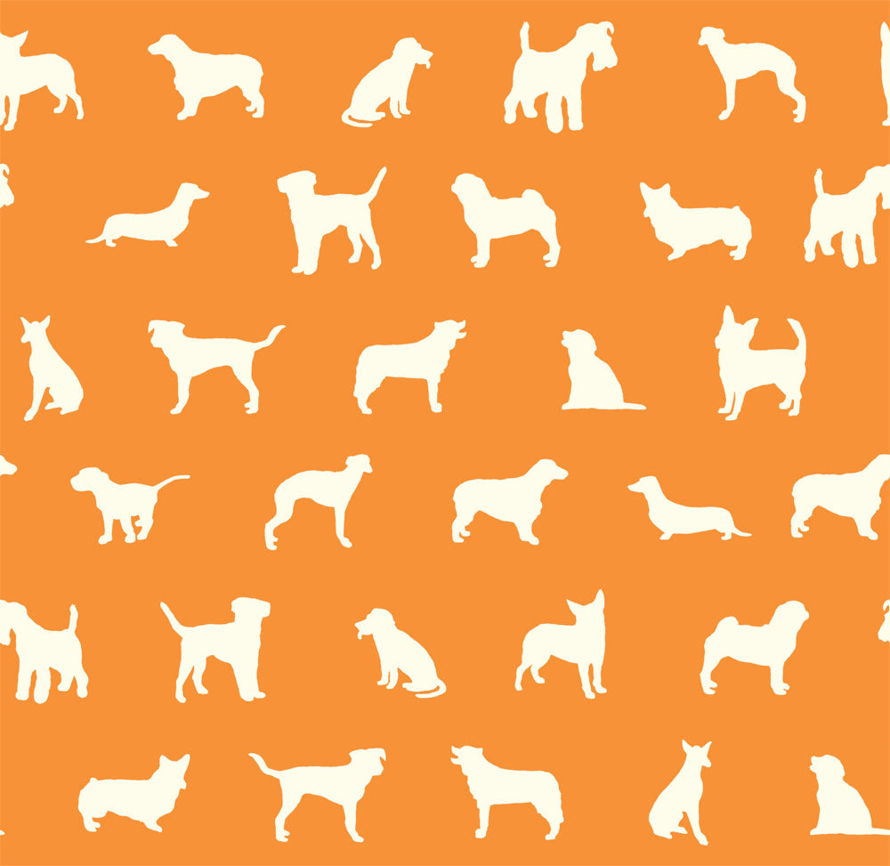 THE SHOW ORANGE