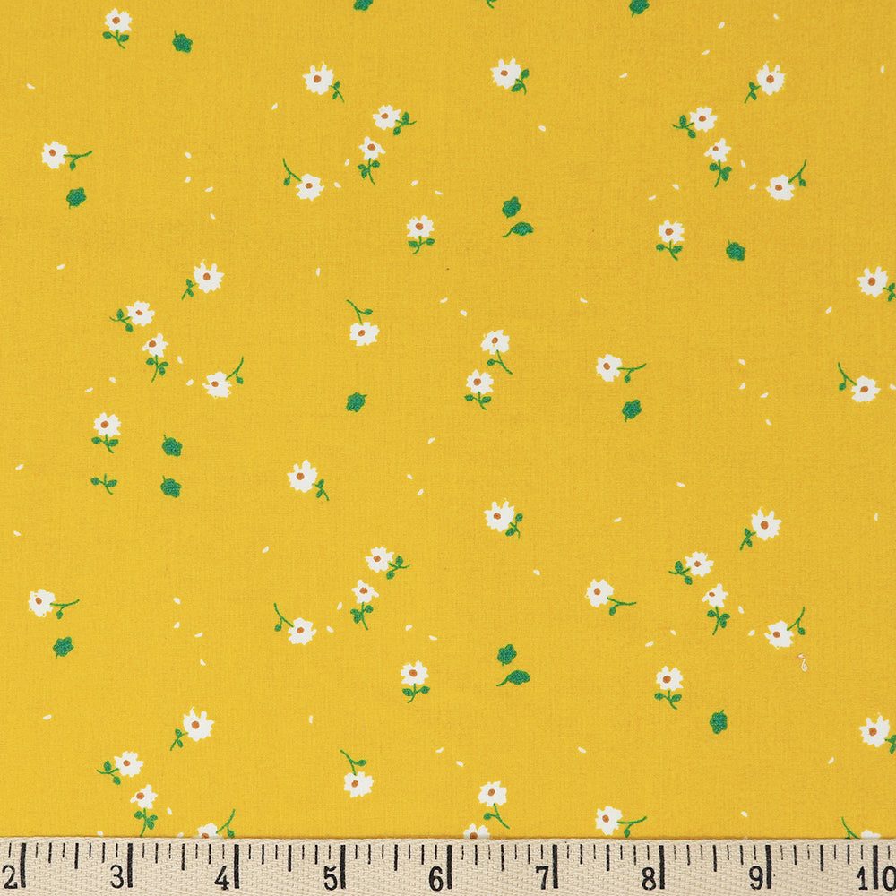 SUNNY DAISIES