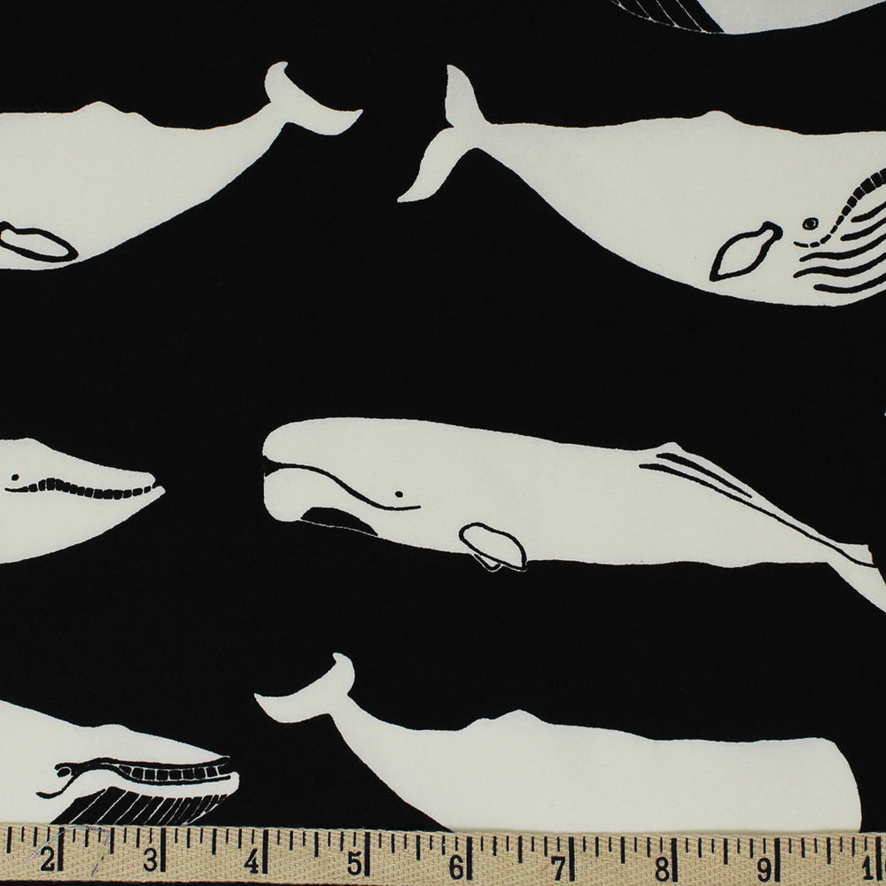 WHALE POD in BLACK