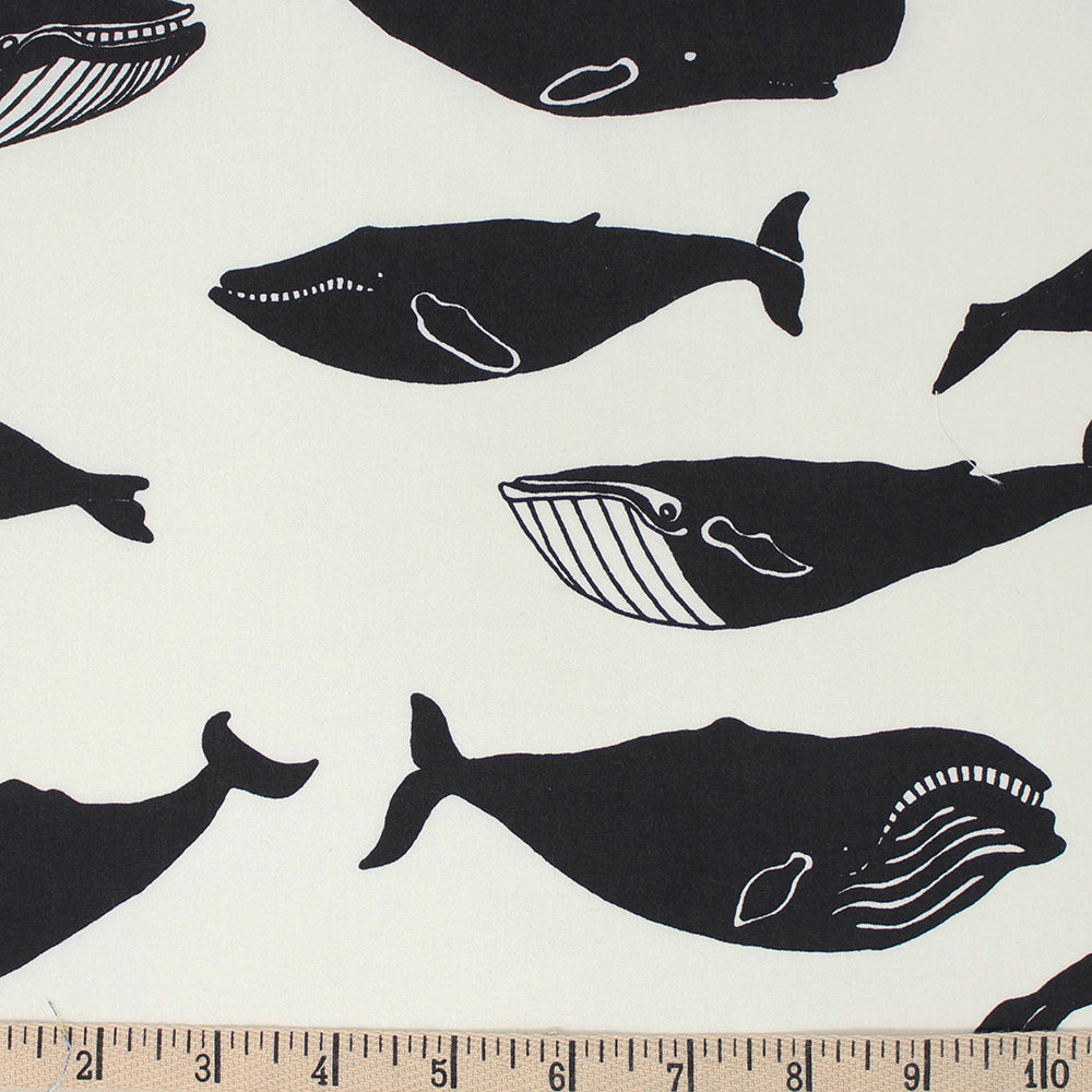 WHALE POD in CREAM