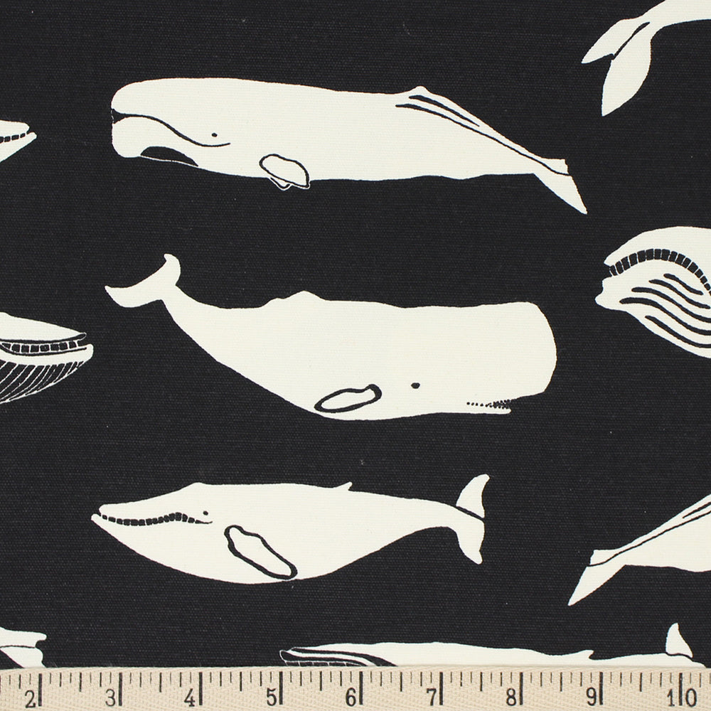 WHALE POD in BLACK CANVAS