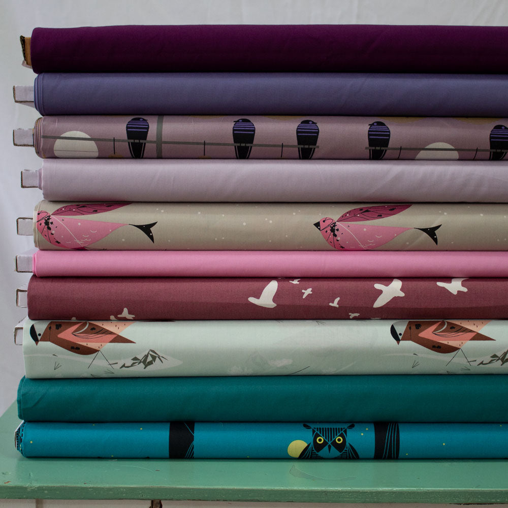 Jewel Birds Custom Case Pack