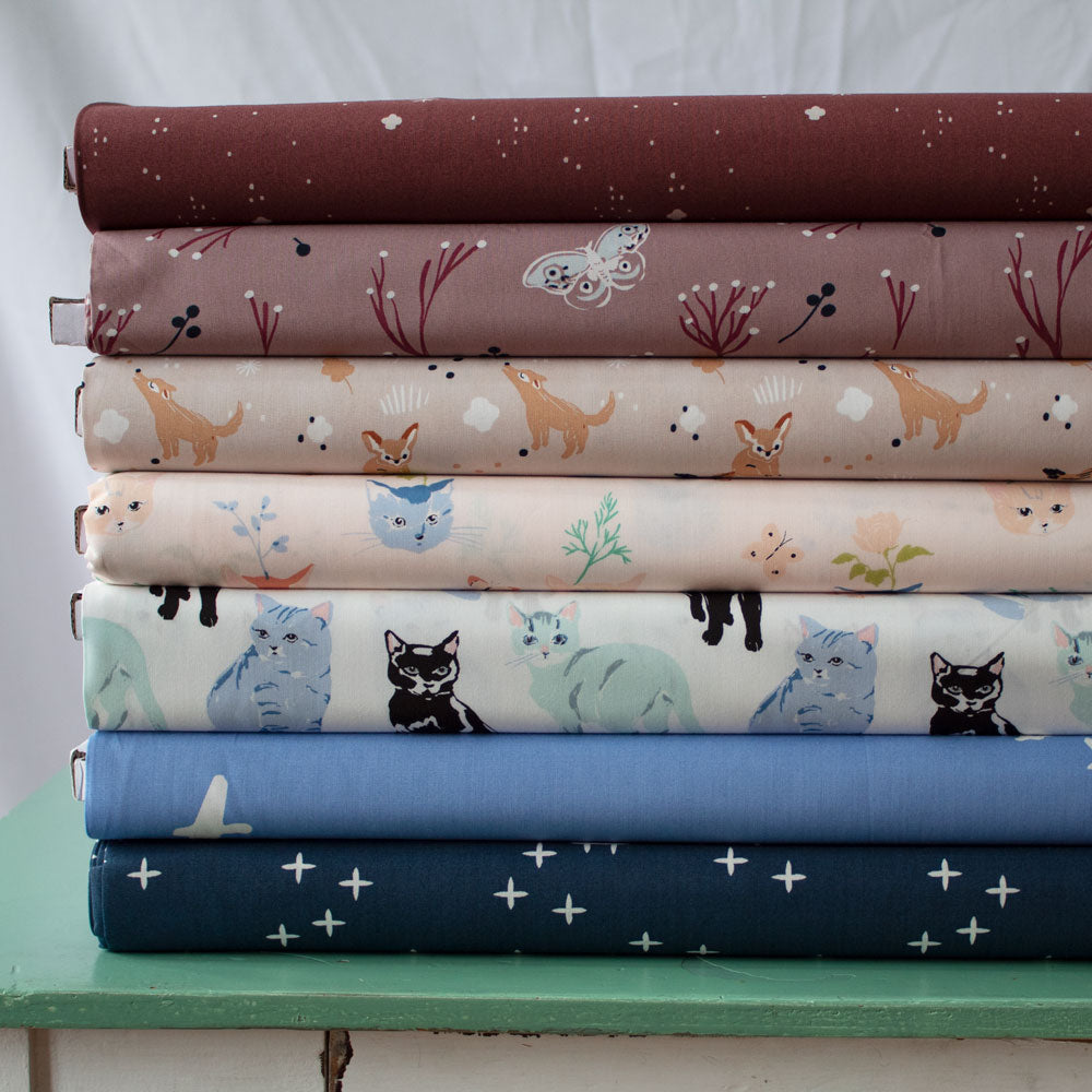 Kitty Dream Custom Case Pack