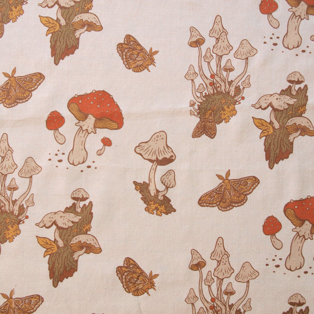 Mushrooms Cream Lawn