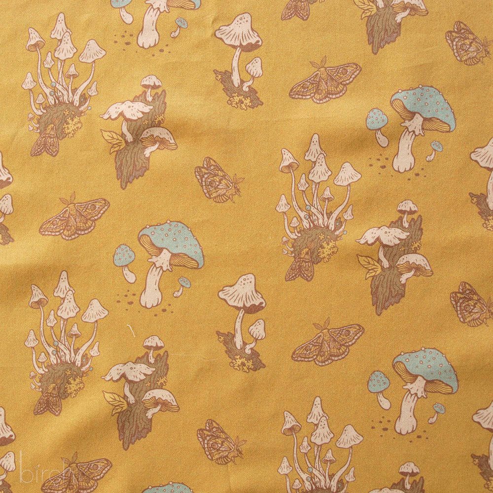 Mushrooms Mustard Lawn