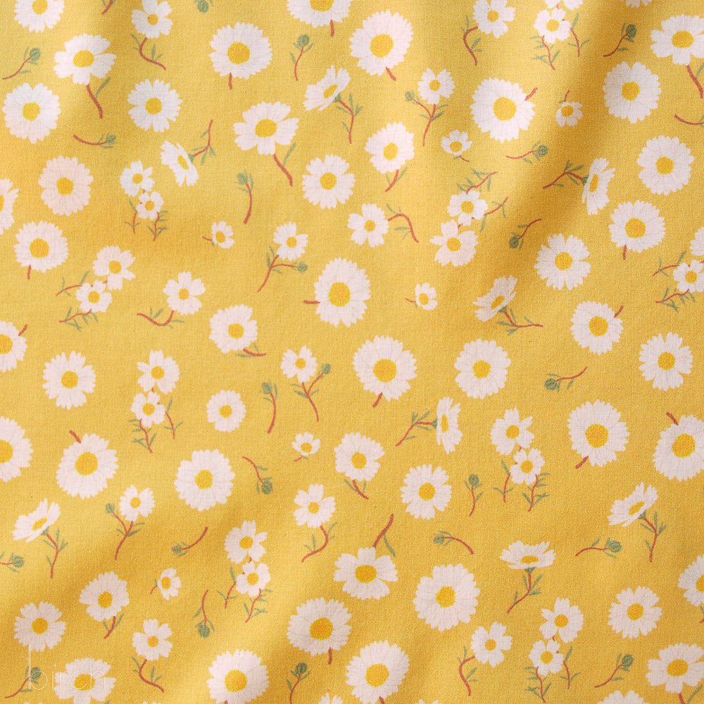 Daisies Sunshine Lawn