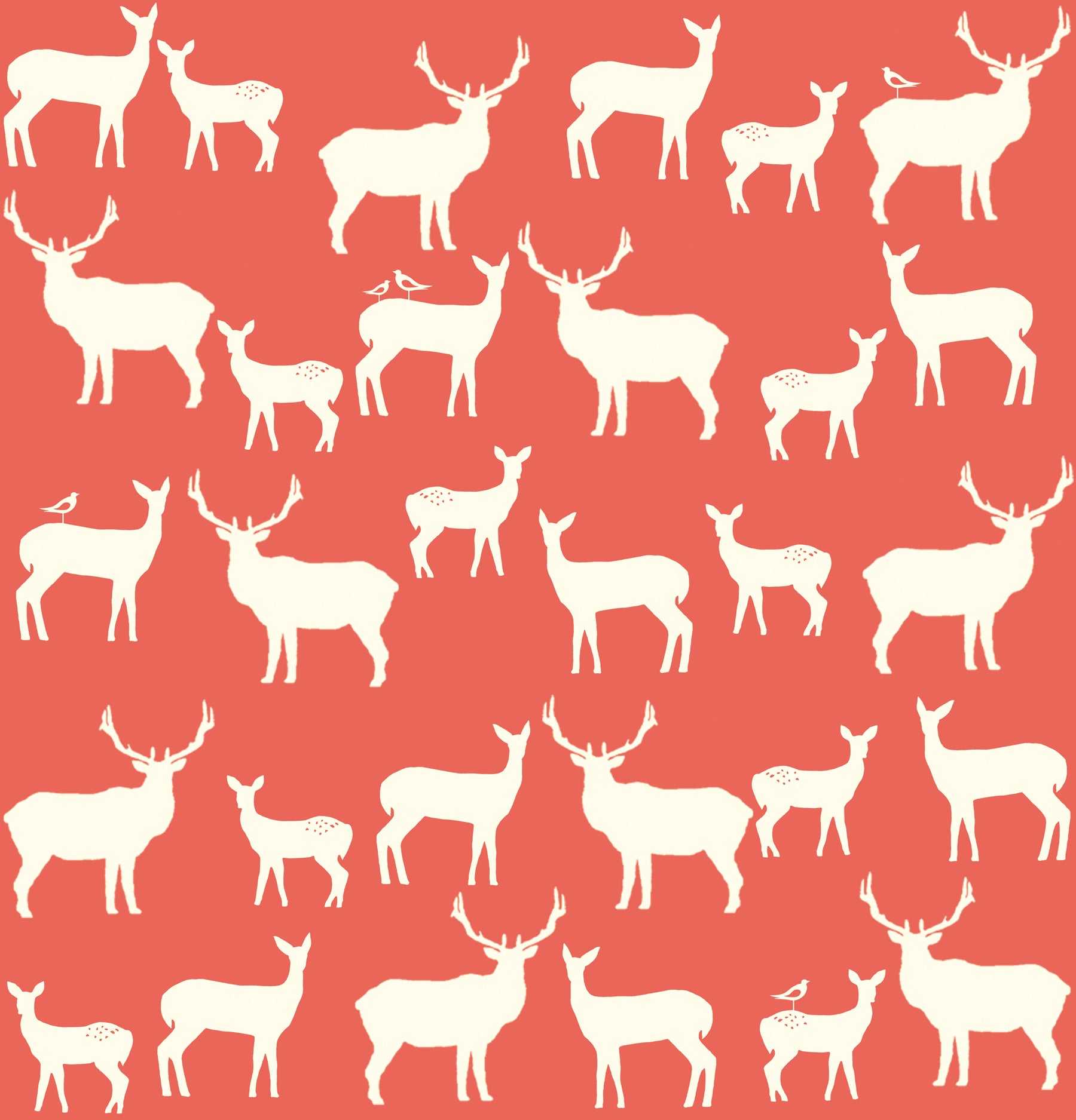ELK FAM CORAL