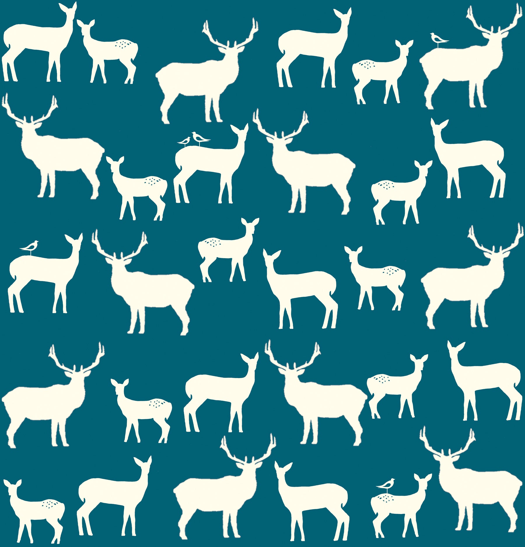 Elk Fam Teal