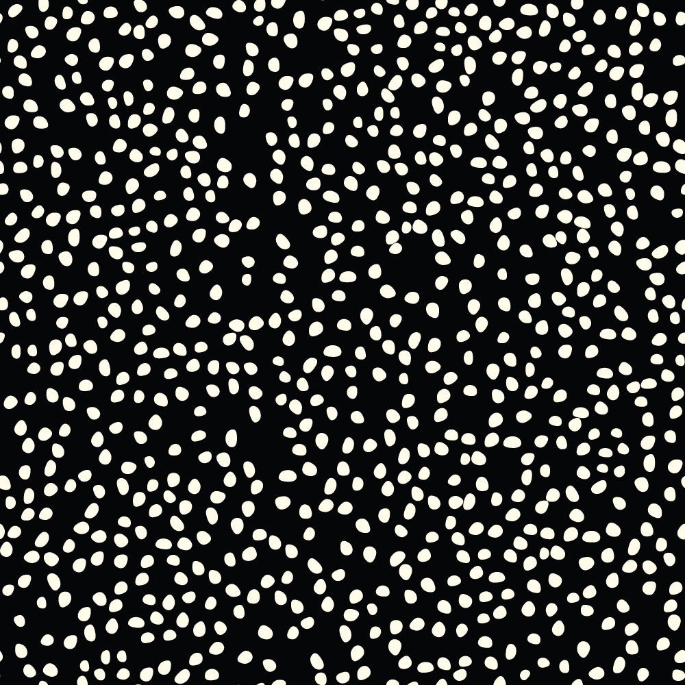 FIREFLY DOTS HARPER BLACK KNIT