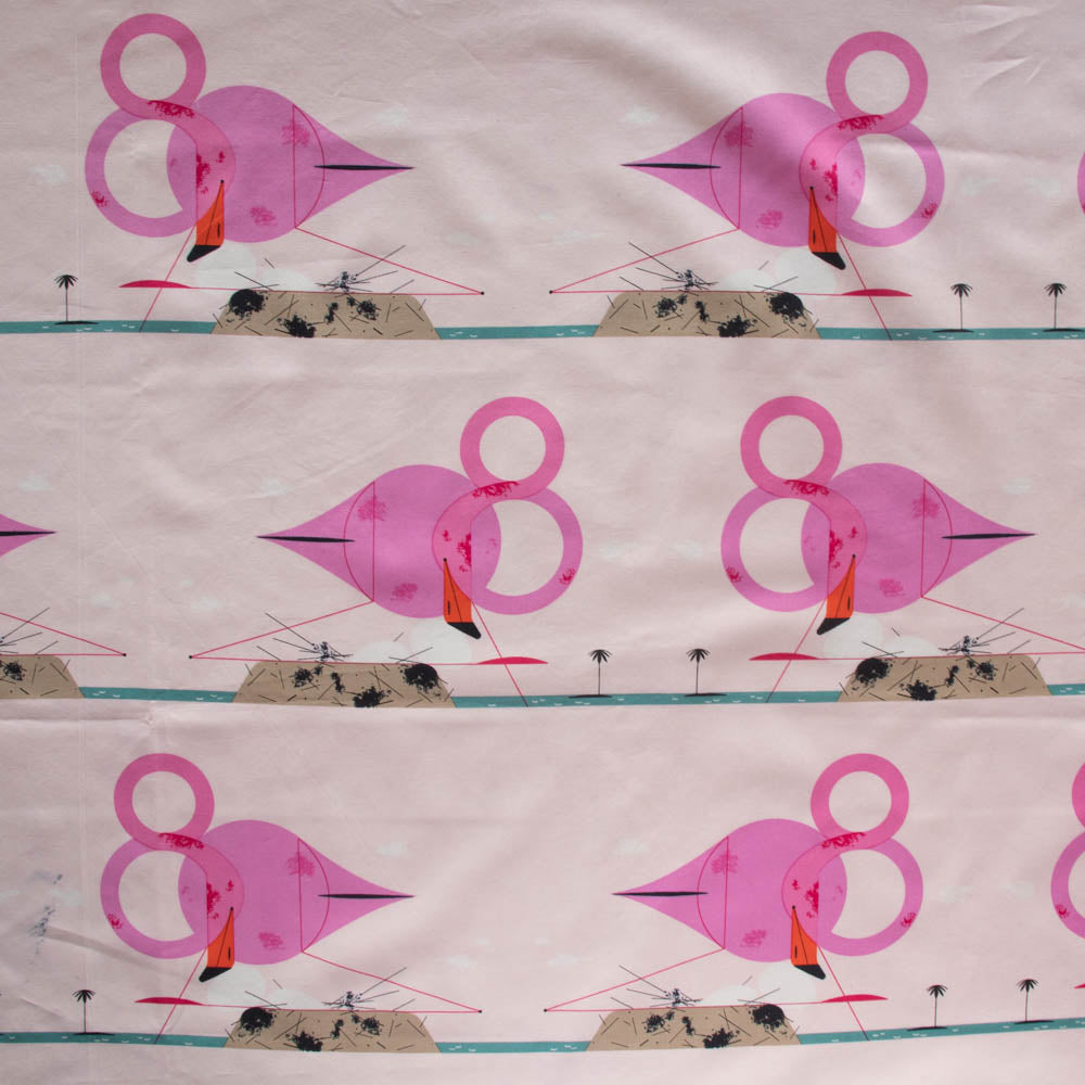 Flamingos Forever