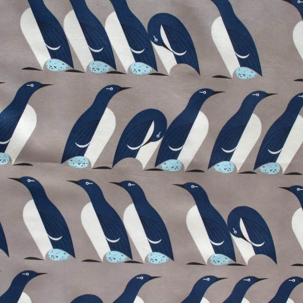 Murre