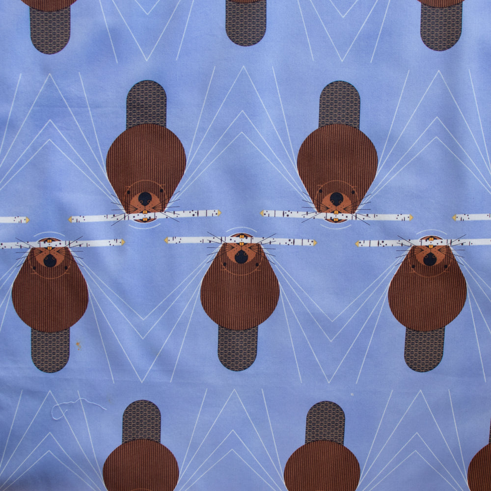 Beaver Swim Poplin