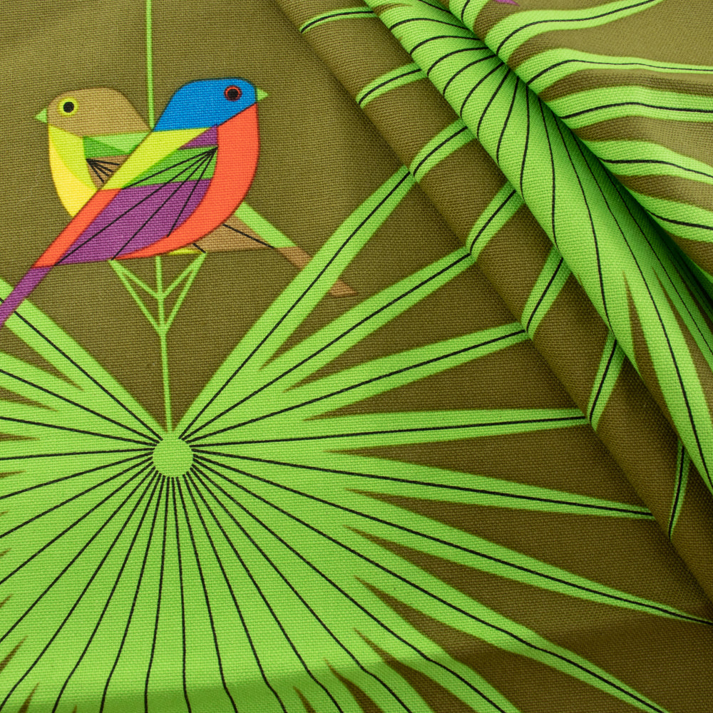 Flamboyant Feathers Canvas