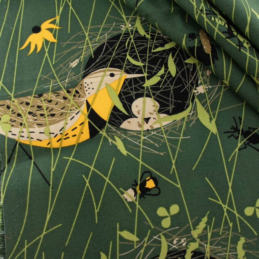 Eastern Meadowlark Canvas
