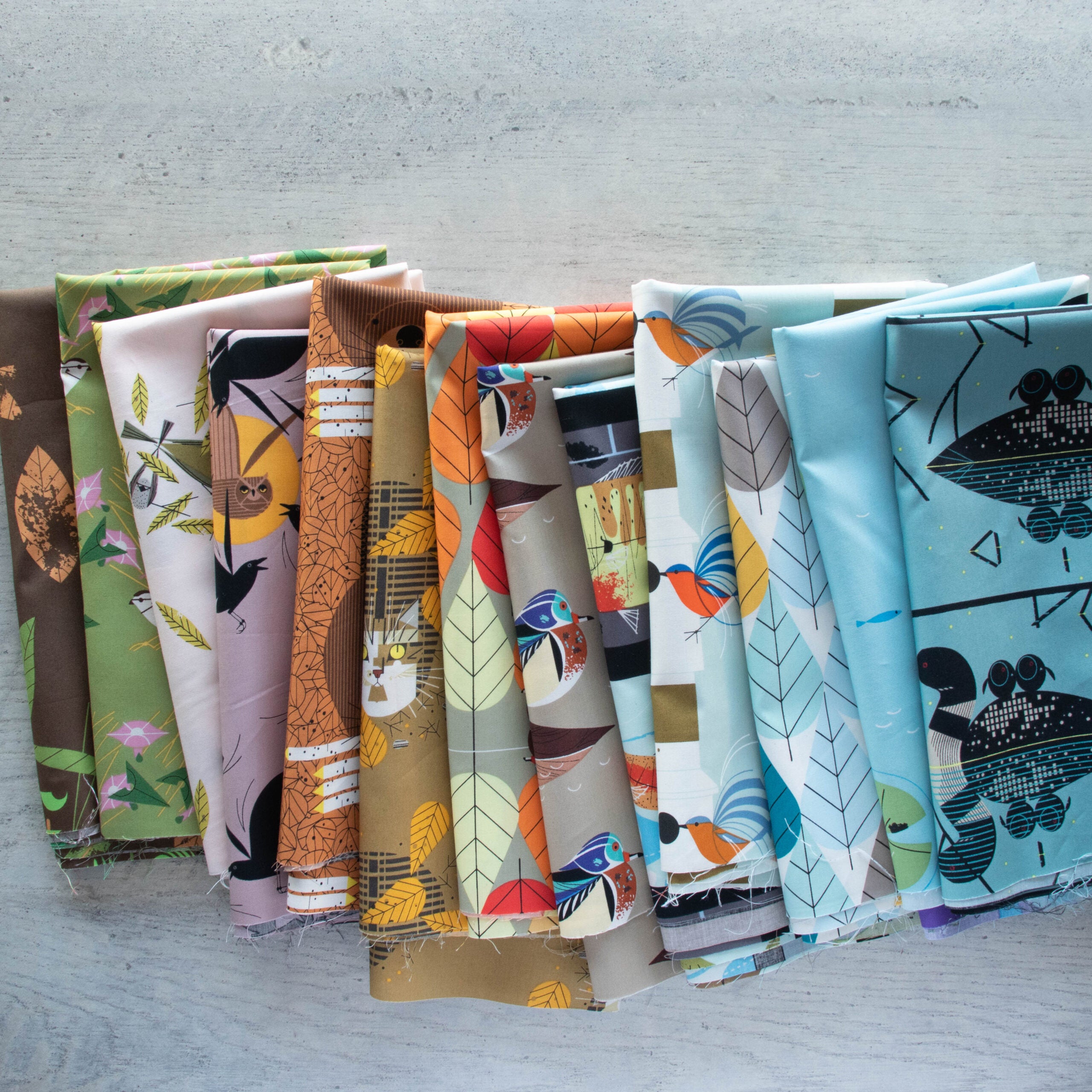 Charley Harper Lakehouse Vol. 3 Case Pack, 15YD Bolts