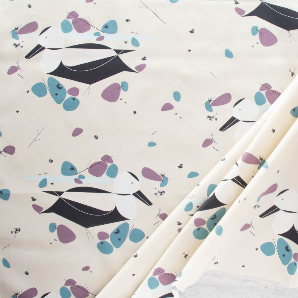 Labrador Duck Poplin