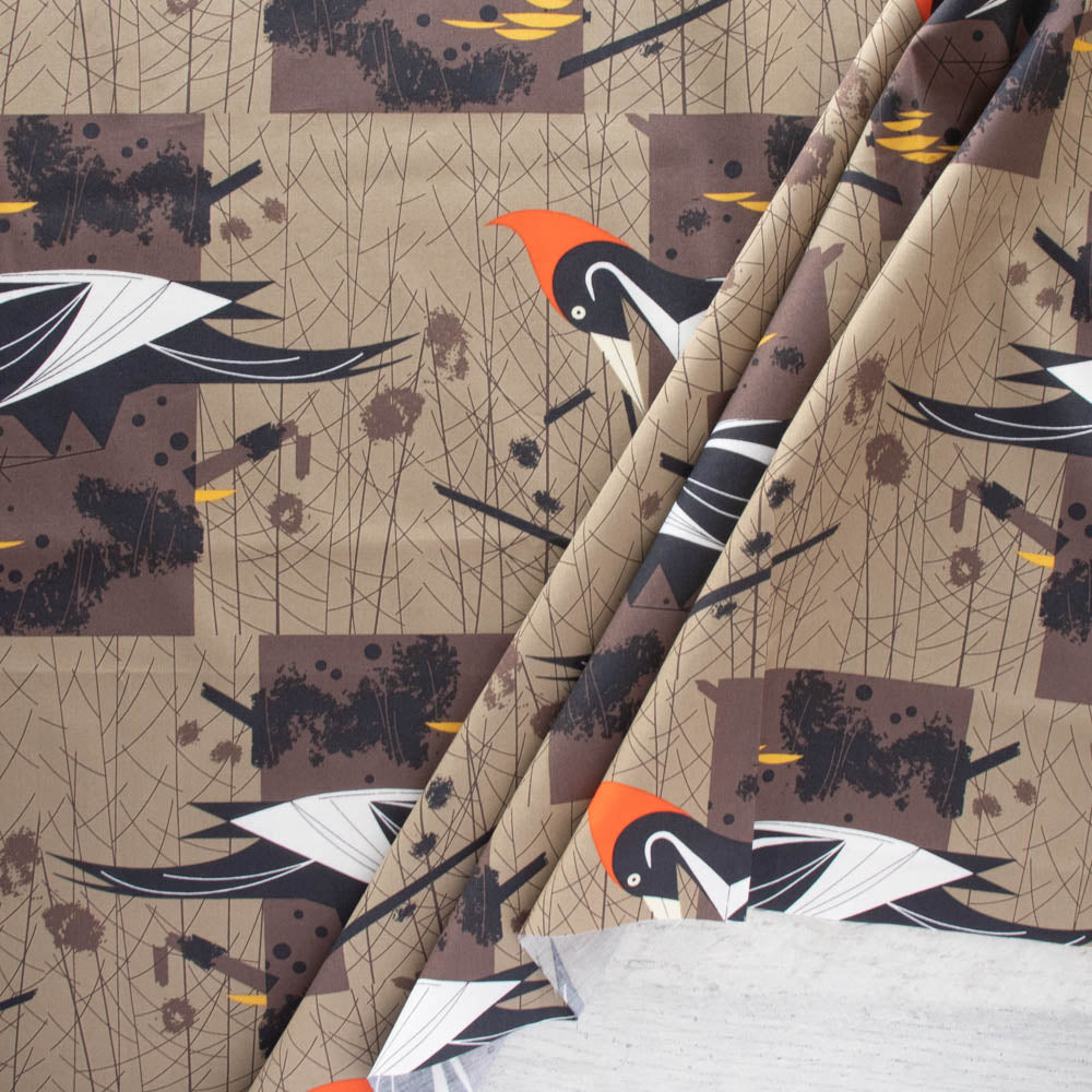 Ivory Billed Woodpecker Poplin