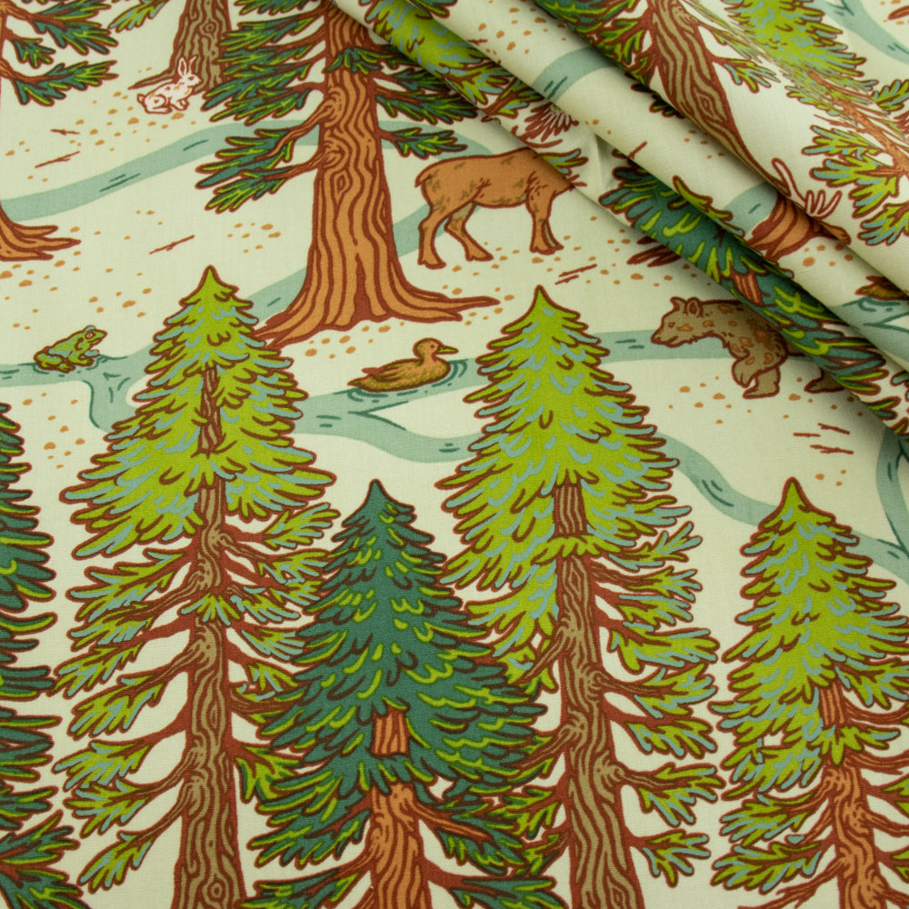 Redwoods Mint Poplin