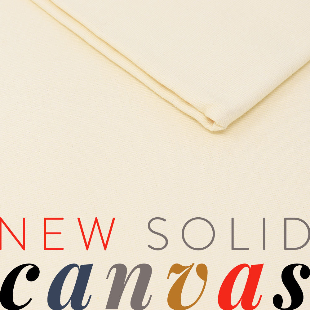 Solid Canvas Feb 2022 Case Pack, 6 Total