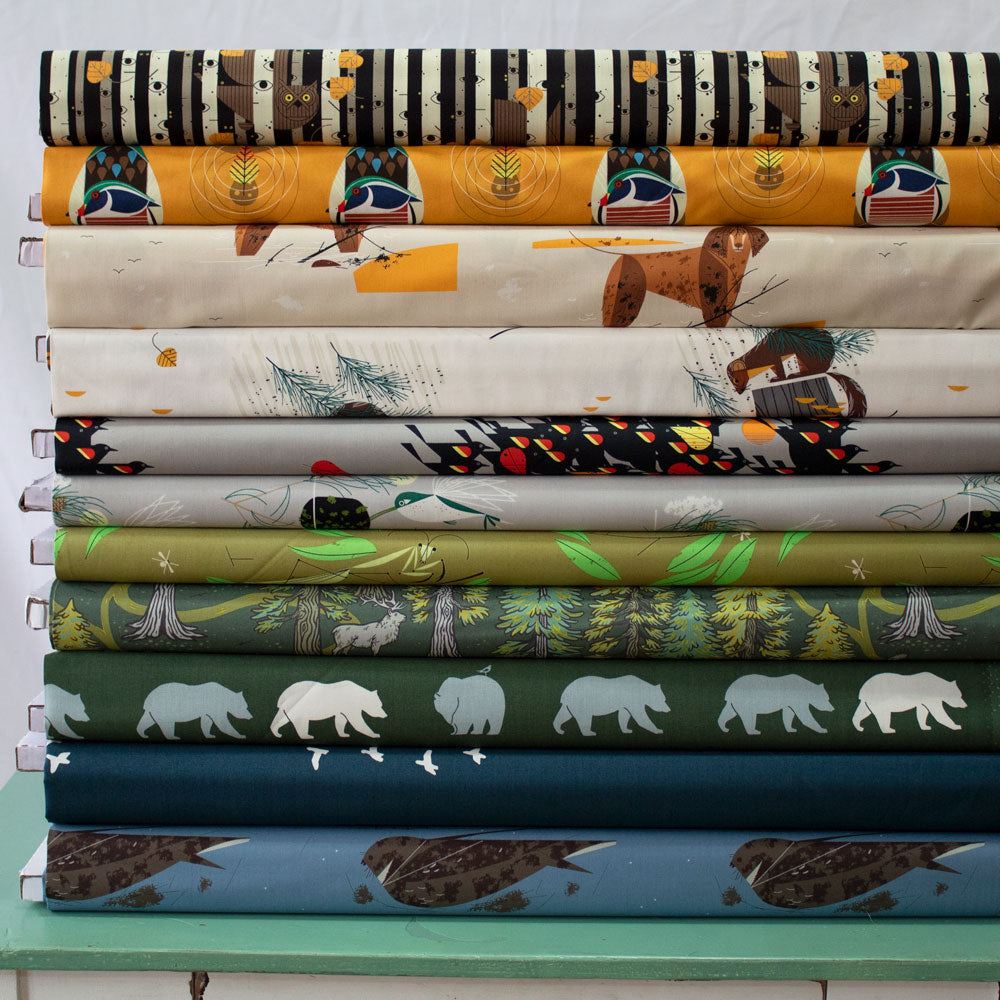 Outdoorsy Custom Case Pack