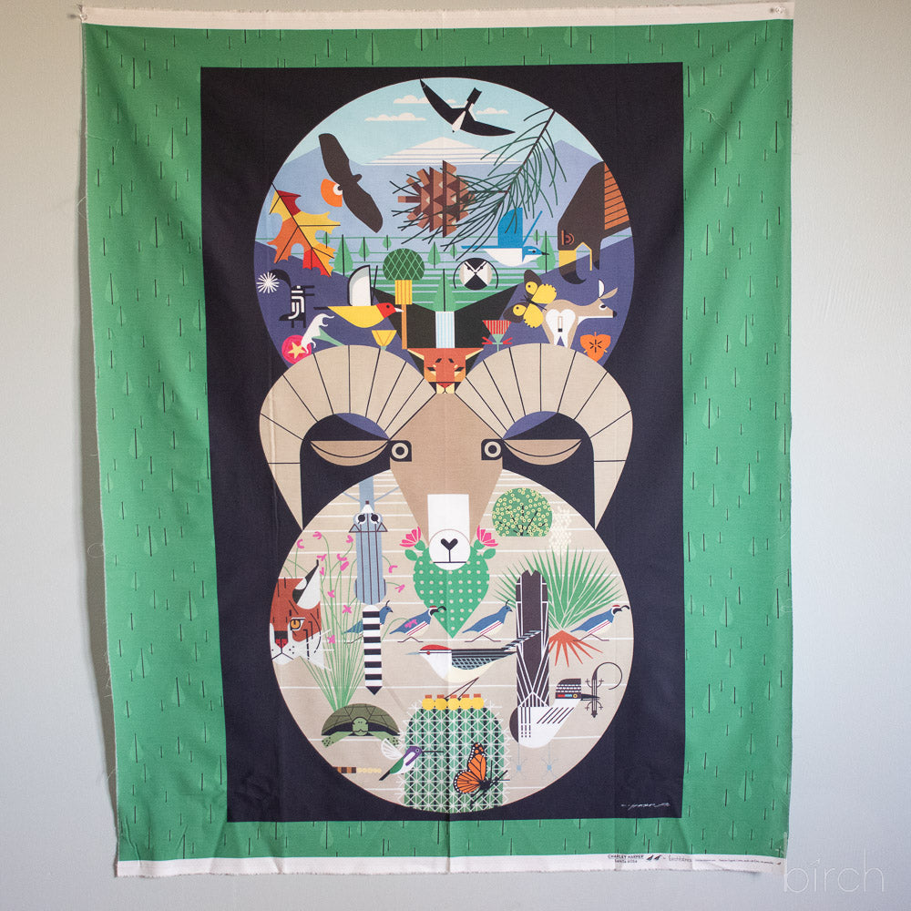Santa Rosa Main Poster Panel (36