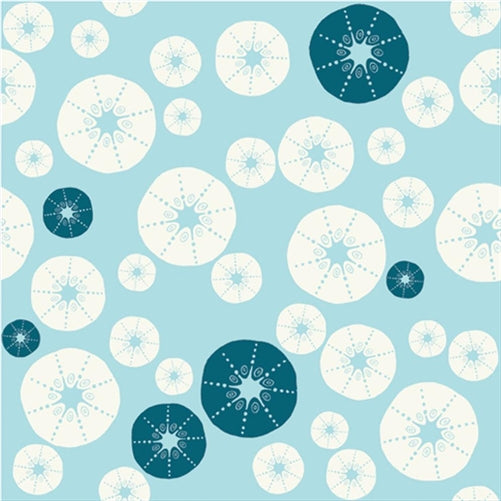 Urchin Shells Sky