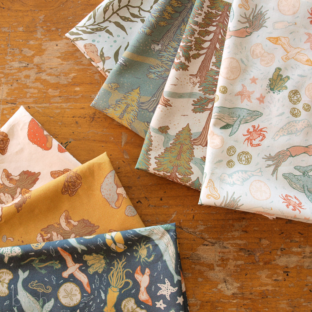 The Wild Coast Lawn Case Pack, 8 YD, 7 Total