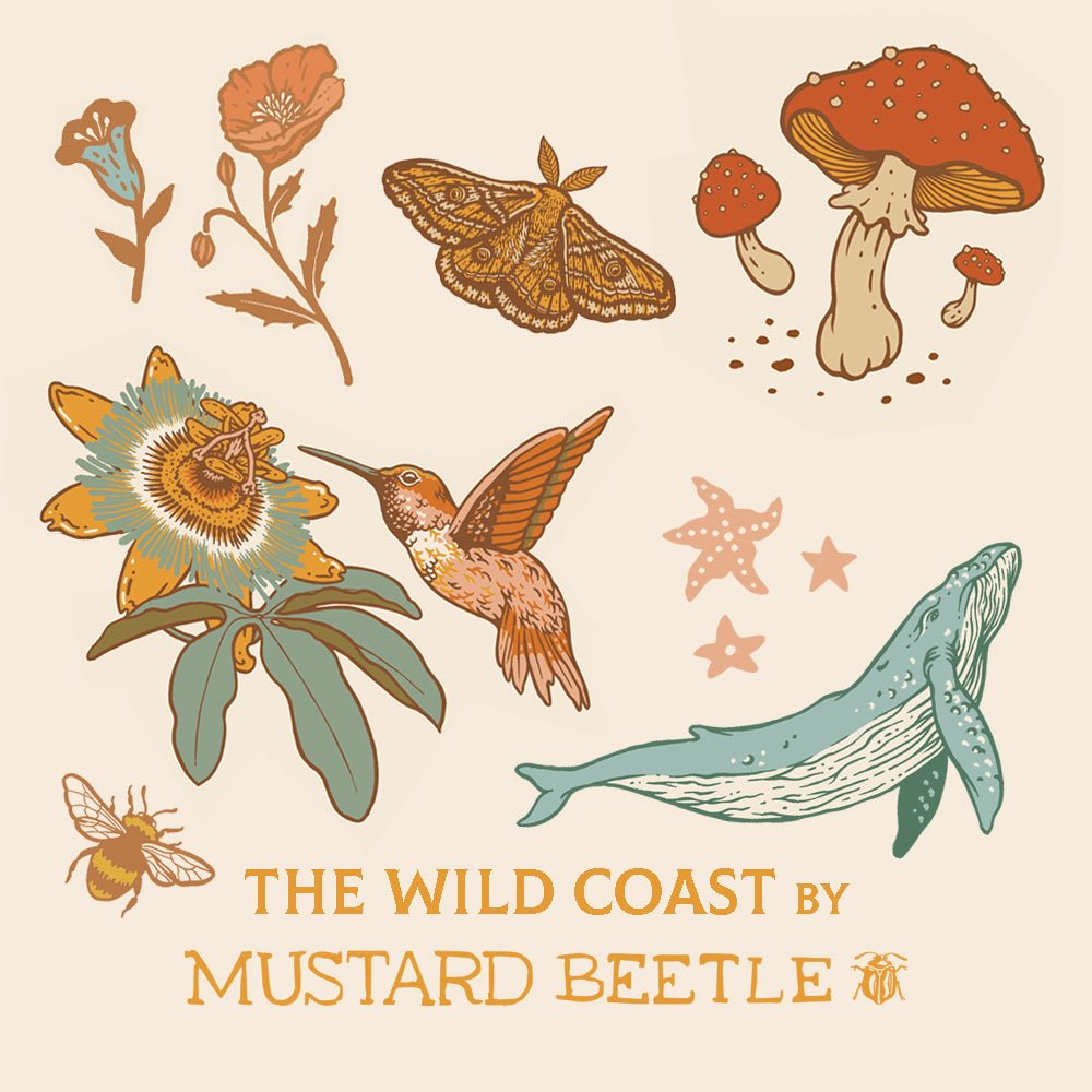 The Wild Coast Case Pack, 11 Total