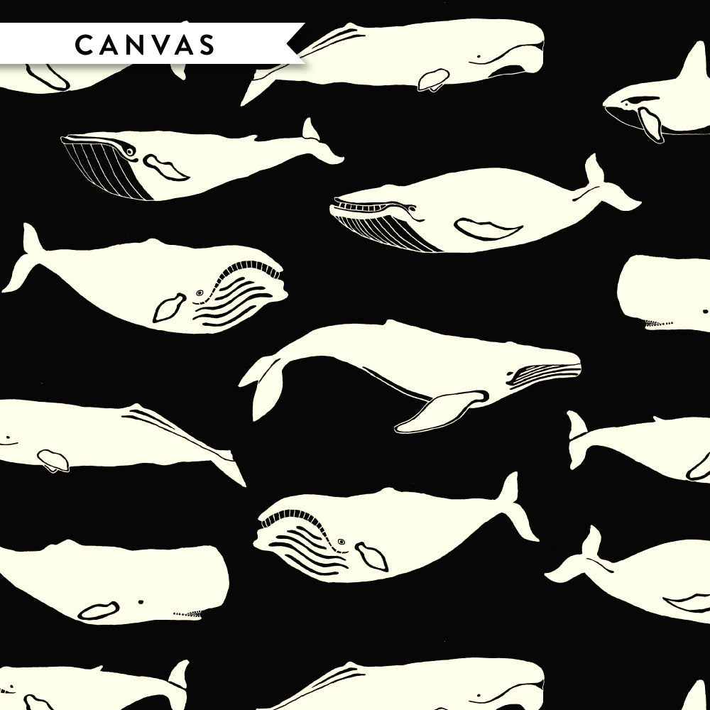 Whale Pod Black Canvas