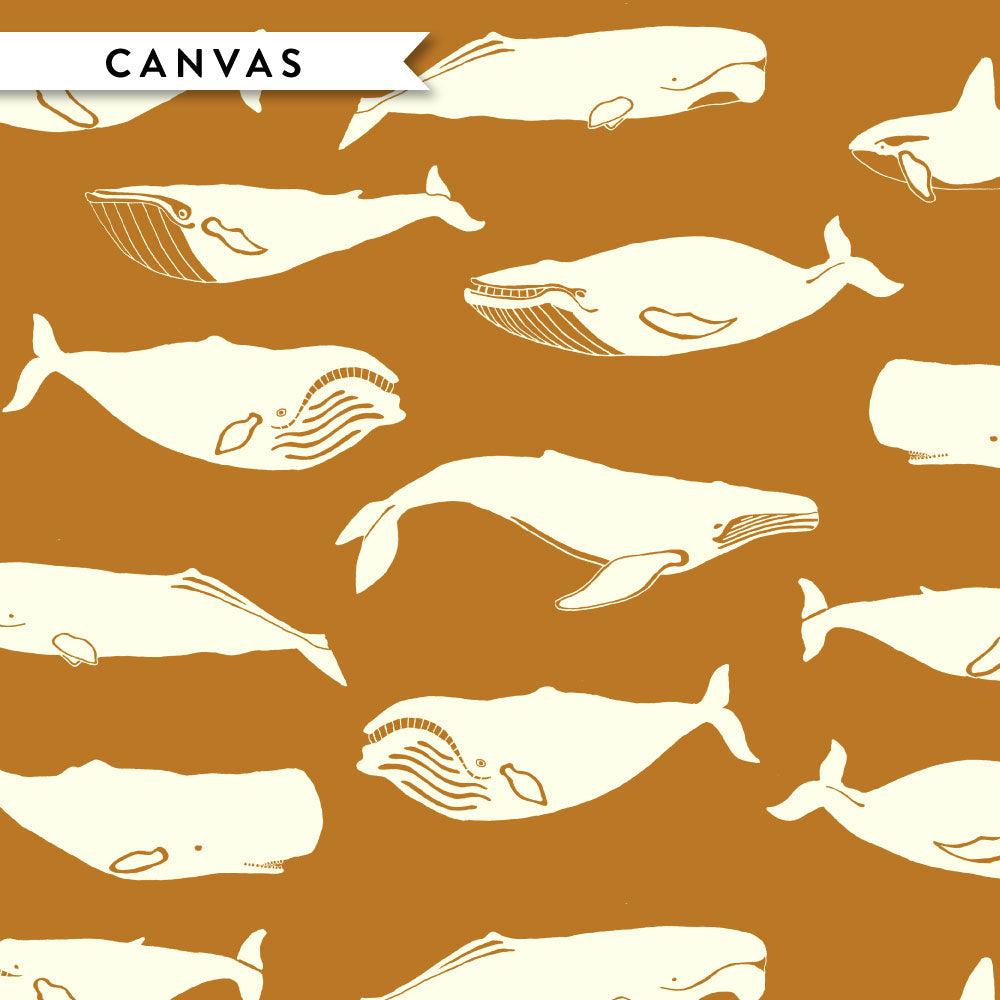 Whale Pod Cumin Canvas