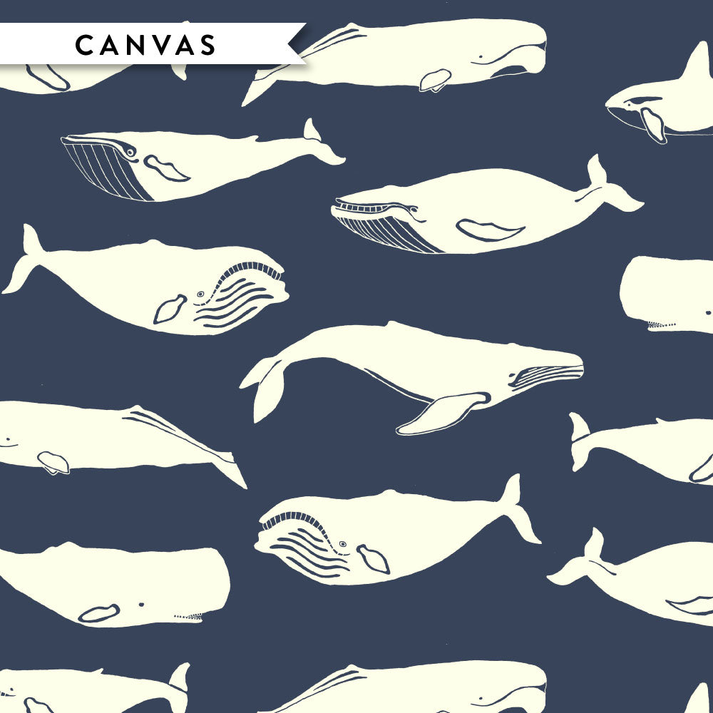 Whale Pod Ocean Canvas