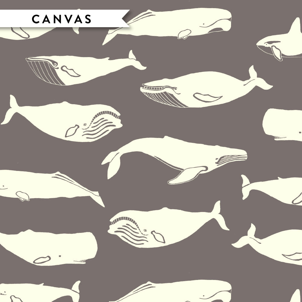 Whale Pod Titanium Canvas
