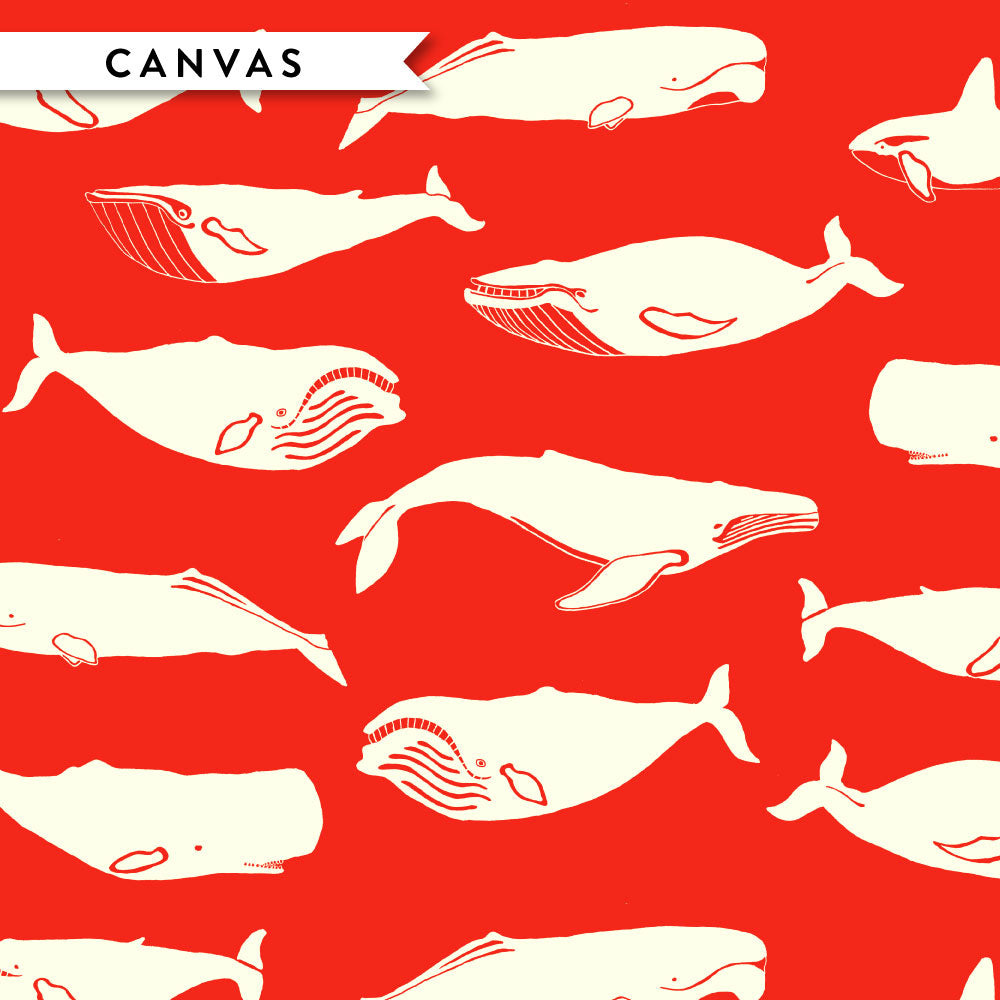 Whale Pod Tomato Canvas