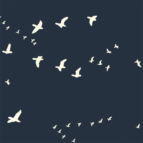 Bear Flight Dusk Canvas